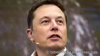 Elon Musk ends speculation on India plans