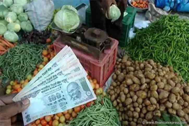Central bank flags risks of double-digit WPI exerting pressure on retail inflation