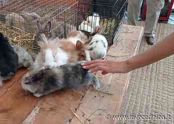 Cuneo, al Miac di Ronchi torna il mercatino dei piccoli animali - LaVoceDiAlba.it