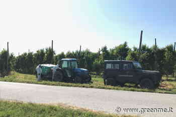 A uccidere i bovini di Cuneo non è stato solo il glifosato, ma un mix di pesticidi - greenMe.it
