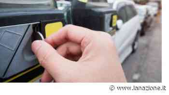 Massa, alle stelle il costo dei parcheggi, "Salasso di benvenuto ai turisti" - LA NAZIONE