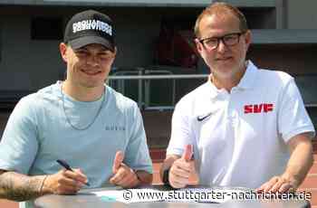 SV Fellbach, TSG Backnang: Niklas Pollex kehrt zum SVF zurück - Stuttgarter Nachrichten