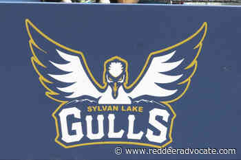 Sylvan Lake Gulls take season opener in Lethbridge - Red Deer Advocate