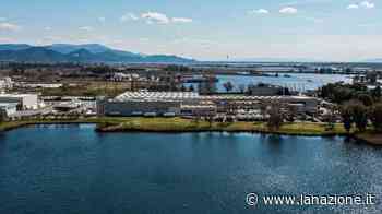 Salov, il fatturato cresce del 12 per cento - LA NAZIONE