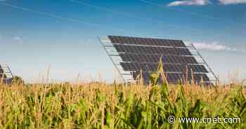 Do Solar Panels Make Sense in the Midwest? What You Need to Know     - CNET