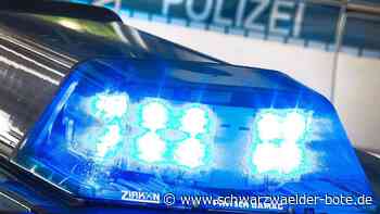 Polizei bittet um Hinweise - Unbekannte stehlen Anhänger in Baiersbronn - Schwarzwälder Bote