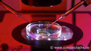 Das Geschäft mit dem Kinderwunsch - Wirtschaft - SZ.de - Süddeutsche Zeitung - SZ.de