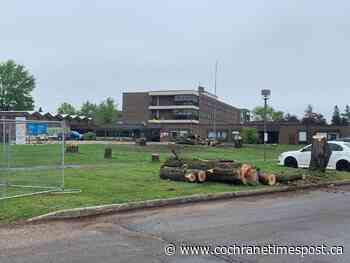 Cassellholme repurposing 15 large trees cut from front yard - Cochrane Times Post