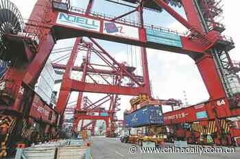 COVID-19 brings logistics rethink in Hong Kong - Chinadaily.com.cn - China Daily