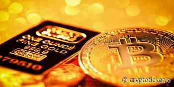 What Is Bitcoin Gold? BTG Token Rose 40% during a Market Collapse? - CryptoTicker.io - Bitcoin Price, Ethereum Price & Crypto News