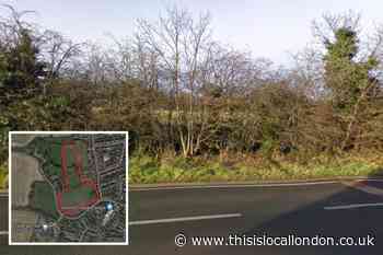 Rabbit hutch protest at plans for 95 homes in Ongar