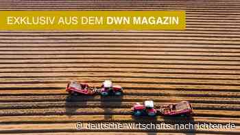 Ackerland statt Aktien?