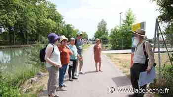 Montech. Lecture de paysage le long du canal latéral à la Garonne - LaDepeche.fr