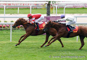 Prix de Saint-Paul-les-Dax (Maiden) : Déjà Vue débloque son compteur - Jour de Galop