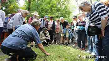 L'INFO INCONTOURNABLE - Dax se mobilise contre les changements climatiques - Presselib