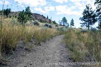 Bewildered parkgoer stumbles upon military exercise in city park - Kamloops This Week