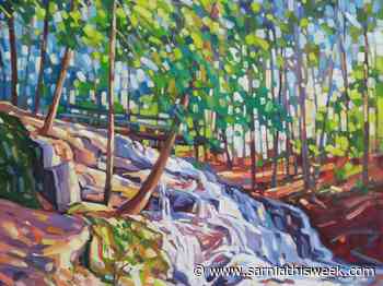 Five artists bringing colours to life in Westland exhibit - Sarnia and Lambton County This Week