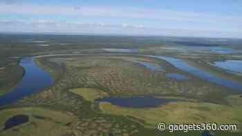 Siberian Tundra Could Virtually Disappear Due To Rising Global Temperatures, Says Study
