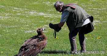 Diese 11 Orte in und um Coburg musst du gesehen haben: Die schönsten Ausflugsziele in der Region - inFranken.de