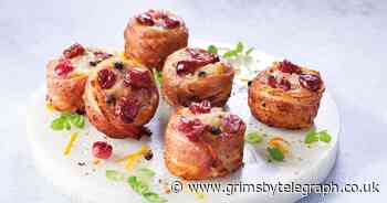 Aldi launches Platinum Corgis in Scarves for Queen's Jubilee - Grimsby Live - Grimsby Live