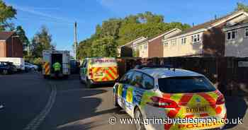 Police make two arrests as teen dies in suspected stabbing - Grimsby Live