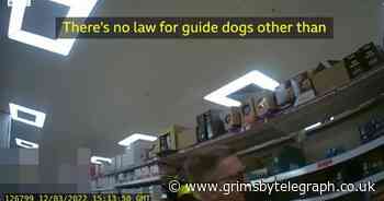 Sainsbury's faces court showdown after banning man's cat - Grimsby Live - Grimsby Live