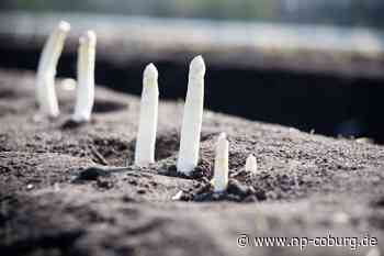 Bayern - Spargelbauern von Nachfrage enttäuscht - Neue Presse Coburg
