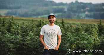 The race toward the cannabis industry is a marathon, not a sprint - ithaca.com