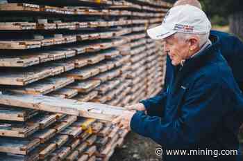 Marathon Gold's EA for Valentine project in Newfoundland available for public comment - MINING.COM - MINING.com