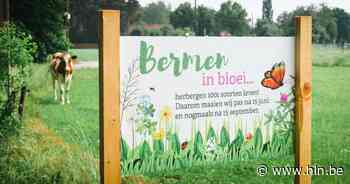 Bermen krijgen eerste maaibeurt pas na 15 juni | Nijlen | hln.be - Het Laatste Nieuws