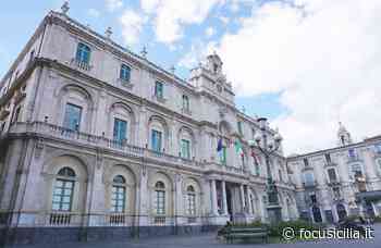 Università di Catania, bilancio in attivo per 19 milioni di euro - FocuSicilia