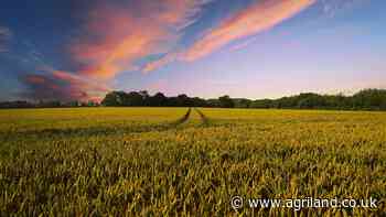 German federal minister suggests cut in biofuels to enhance food security - Agriland.co.uk - Agriland.co.uk