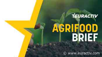 Agrifood Brief: From food sovereignty to food security - EURACTIV