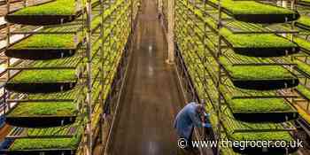 Grosvenor outlines plan for significant investment in food and agritech - The Grocer