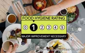 Food hygiene: Marcel's in Watford needs 'major improvement' - Watford Observer