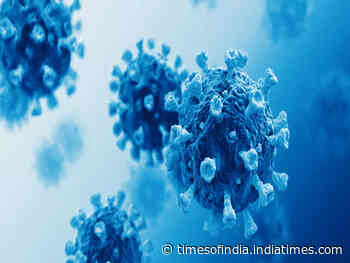 Coronavirus: Study links COVID to impaired heart function and warns to focus on early signs - Times of India