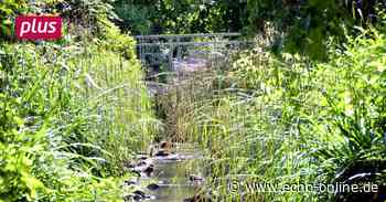 Heppenheim investiert in den Katastrophenschutz - Echo Online