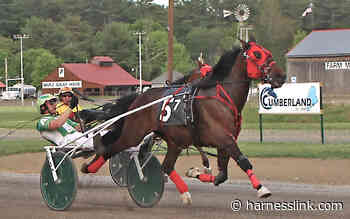 Matt Athearn takes top spot at Cumberland - Harnesslink