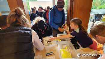 Schüler unterstützen den Lobdeburglauf