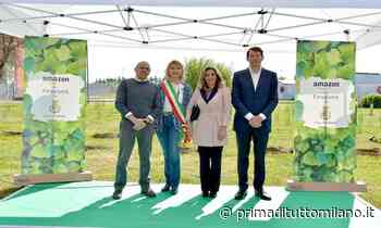 Amazon aderisce a "Forestami": piantate oltre 200 piante a Pioltello - Prima Milano