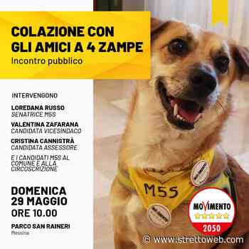 Messina: domani al Parco San Raineri l’incontro per i diritti degli animali - StrettoWeb