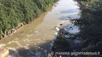 Messina, inquinamento dei torrenti: 4 indagati tra cui l'ex sindaco Accorinti - Gazzetta del Sud - Edizione Messina