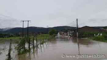 Nível do rio Mundaú passa de 5m em União e Murici e atinge cota de inundação, alerta CPRM - GazetaWeb