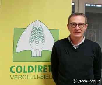 COLDIRETTI VERCELLI-BIELLA – +36% prezzo grano in 3 mesi - vercellioggi.it/