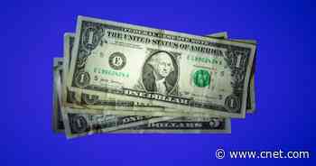 This One Kitchen Appliance Has Saved Me Hundreds of Dollars     - CNET