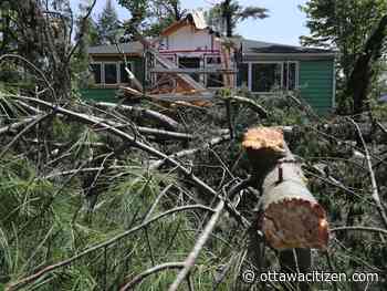 Storm recovery: Hydro says 19,000 customers without power; Volunteers sought for cleanup operations