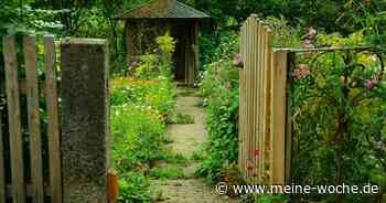 Auch in Meerbusch ist am 4. und 5. Juni Tag der Offenen Gartenpforte - Meine Woche