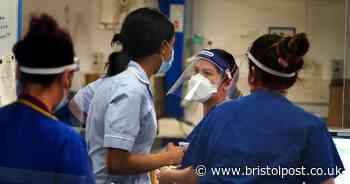 Covid patient numbers at Bristol hospitals drop by half in a week - Bristol Live