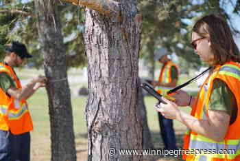 Selkirk is shaping its climate future - Winnipeg Free Press