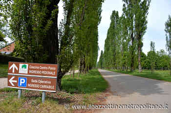 L'alba al Parco Nord per celebrare il 2 giugno - Il Gazzettino Metropolitano